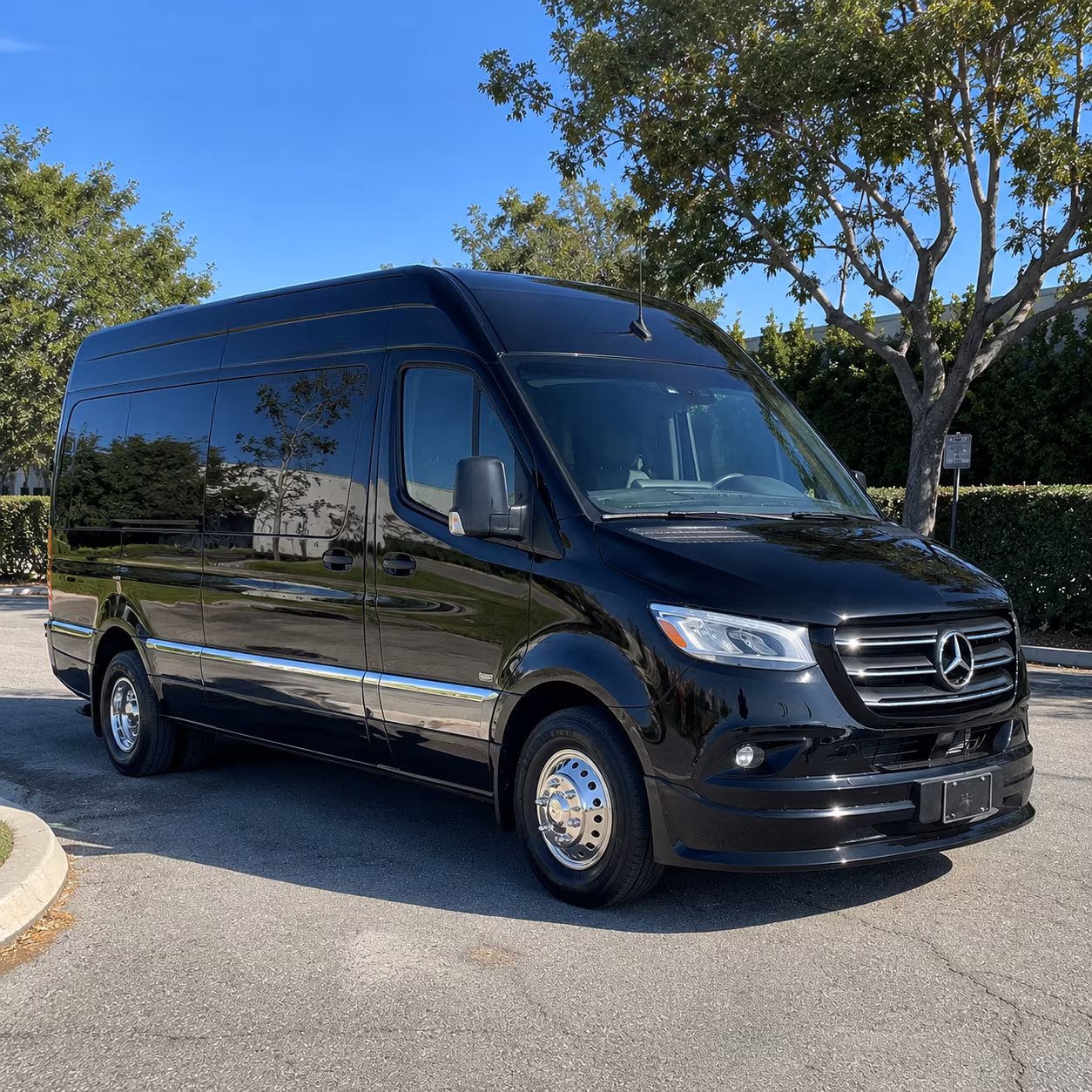 12 passenger sprinter van